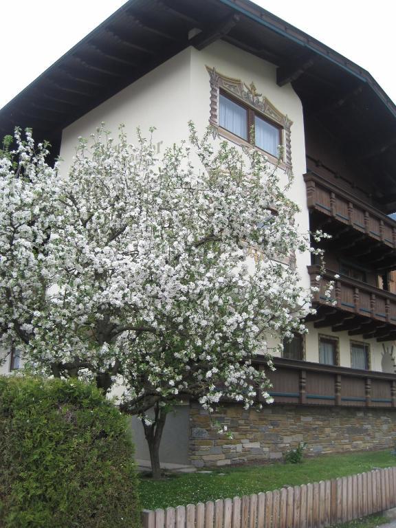 Gaestehaus Braunegger 스텀 외부 사진